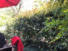 -旅马餐厅(茅家埠店)