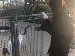 -盐城丹顶鹤湿地生态旅游区