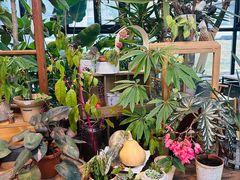 -北马山庄植趣咖啡