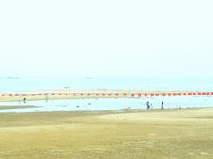 -北海金海湾红树林生态旅游区