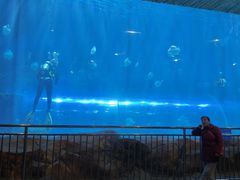 -华夏文旅西安度假区