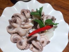 爽口八爪鱼-全渔村小海鲜