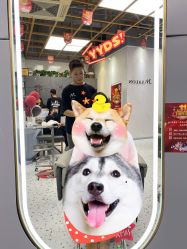 -吉米护肤造型