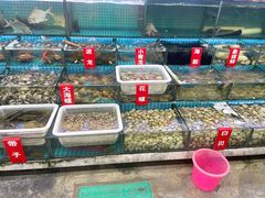 -红月湾海鲜饭店•沙滩海景(双月湾店)