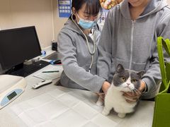 -安安宠医·臻爱宠物医院·宠保定点(营门口路分院)