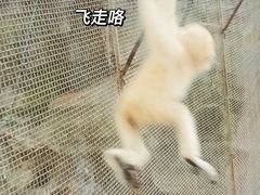 -南宁市动物园