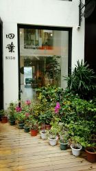 点击看大图 -Clover Beauty四葉美睫