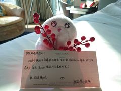 -北京索菲特大酒店