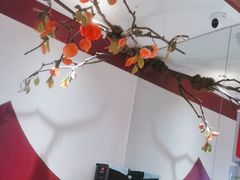 -九鼎轩脆毛肚火锅(三钢里店)