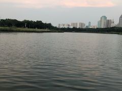 -万绿园
