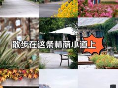 -江苏三台山国家森林公园