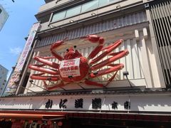 -蟹道乐(道顿堀本店)