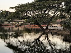 -清迈夜间动物园