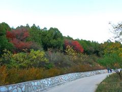 -北京西山国家森林公园
