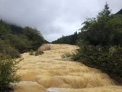 -黄龙山原始森林景区