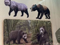 -深圳博物馆历史民俗馆