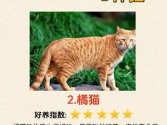 -宠颐生斯嘉宠物医院·急重症·心内科(谷阳北路分院)