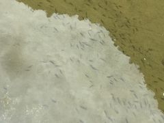 -重庆神龙峡漂流