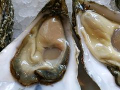 -Oyster Talks 四度蚝法餐厅