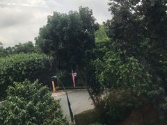 -新加坡海鲜共和(名胜世界圣淘沙海滨坊)