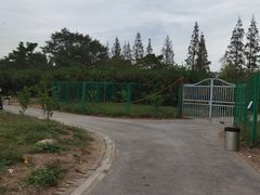 -上海滨江森林公园