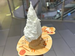 -野人先生现做冰淇淋(北京环宇荟店)