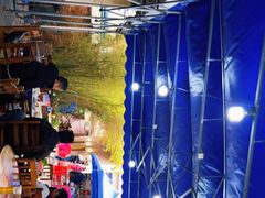 -章记正宗南岗鱼蛋火锅