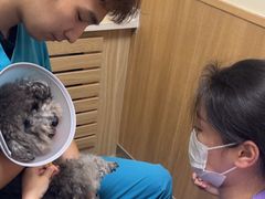 -瑞派宠物医院·24h·骨外科·皮肤科·全科宠物医疗转诊中心(沈阳浑南院)