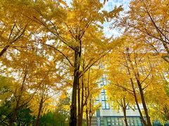 -魏家凉皮(协和店)