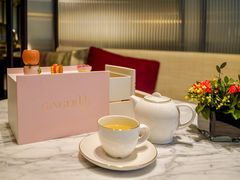 -新加坡乌节希尔顿酒店 (SG Clean)