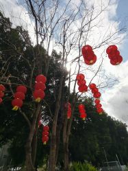 -宝生月子中心(独栋园林·福田店)