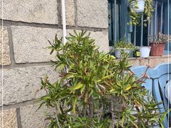 -石头会唱歌融来+北港岚台两岸交流中心