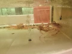 -白金汉爵大酒店(相城店)