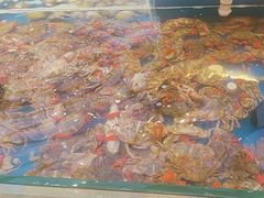 -川骄海鲜自助(河东店)