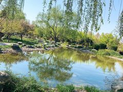 -石家庄市植物园