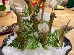 深水虾-尚海豆捞(乐虹坊店)