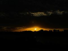 -春花秋色城市公园