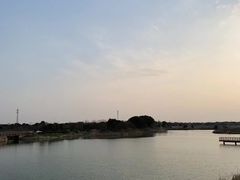 -西京湾花海