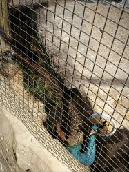 -酷嗒动物文化乐园(cutezoo西溪乐天城店)