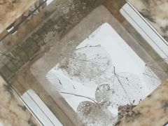 -胶囊画廊