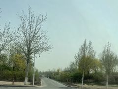 -天津东丽湖风景区