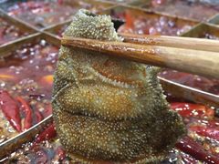 -朱氏胖子烂火锅(洪崖洞店)