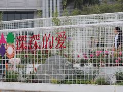 -深圳国际园林花卉博览园