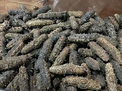 -宫品海参专卖店(静安大宁店)