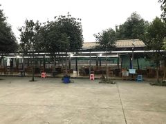 -老杨砂锅鱼庄