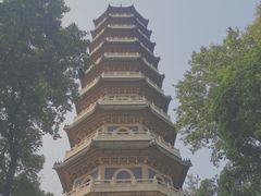 -灵谷景区