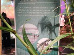 -同里国家湿地公园