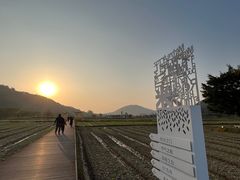 -艾米稻香小镇