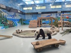 -柳州市动物园