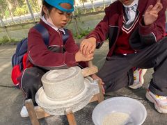 -前小桔亲子创意农场·草莓采摘·露营烧烤